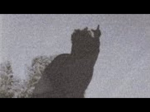 slumped707 - Pain1029 (feat. Tommygun707 & Jas The Producer)