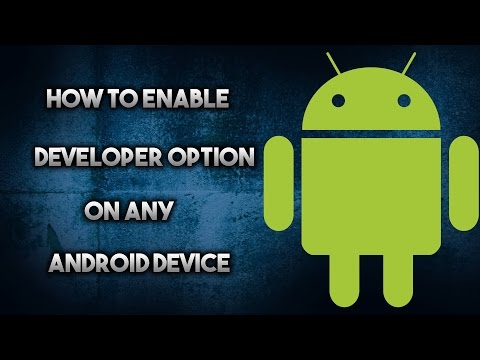 How To Enable Developer Options On Any Android Device 2017!