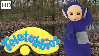 Teletubbies: Walking in the Woods - Full Episode