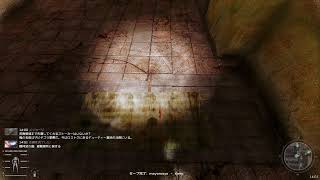 stalker  gamma