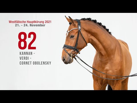 Hauptkörung 2021 Reitpferdehengste Kat-Nr. 82  Kannan - Verdi - Cornet Obolensky