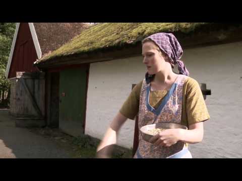 Welcome to Skansen!