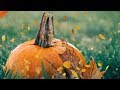 Peaceful music, Relaxing music, Instrumental music, Autumn Nature "Harvest Moon" Tim Janis