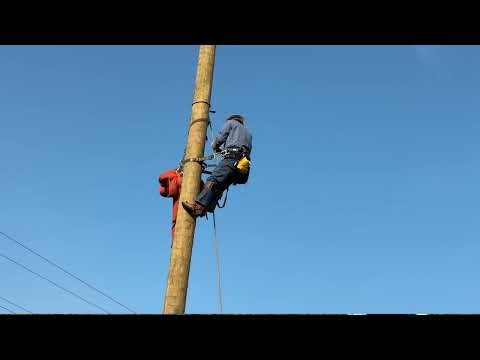 Pole Top Rescue Safety Training 2023