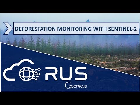 RUS Webinar: Deforestation Monitoring with Sentinel-2 - LAND08