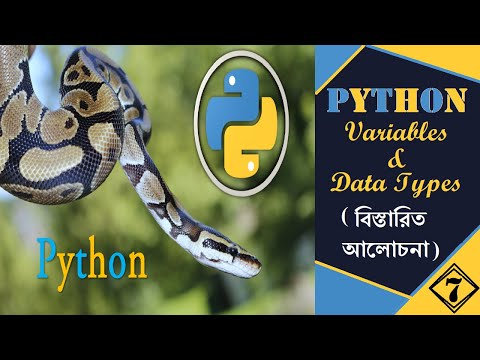 Variables And Data Types In Python Python Tutorial In Bengali 07