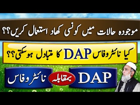 DAP vs NP || Which fertilizer should be used || Crop Reformer
