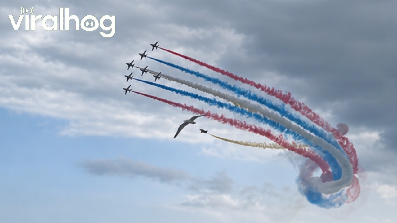 Red Arrows Display in Eastbourne || ViralHog