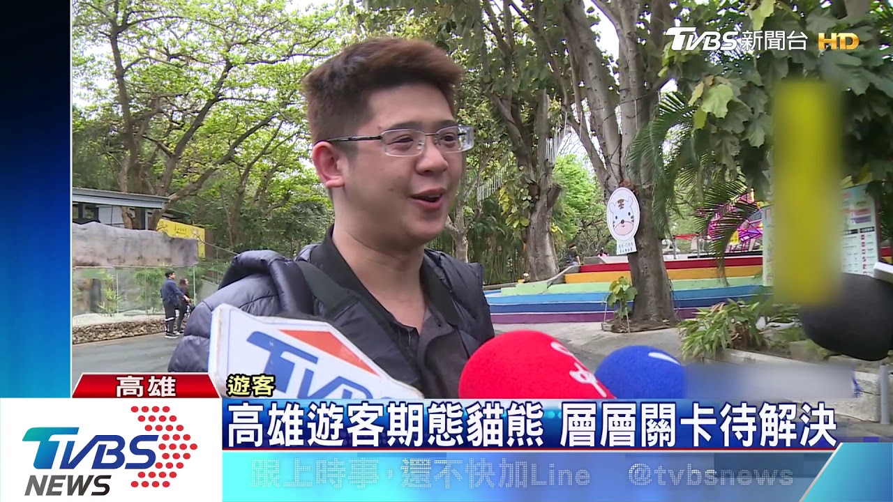 大陸貓熊送高雄? 韓國瑜:視議會態度