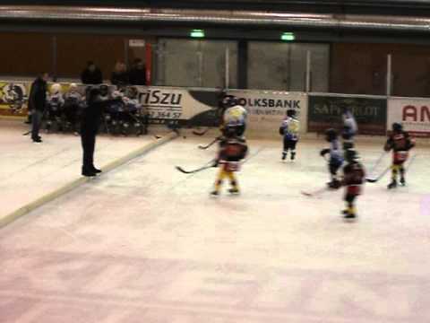 U8 jégkorong torna Weiz, Ausztria, 2012.12.08. - a Szombathelyi Pingvinek játszanak