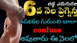 how your baby grows month 6|6th month of pregnancy in telugu|movements in 6th month of pregnancy