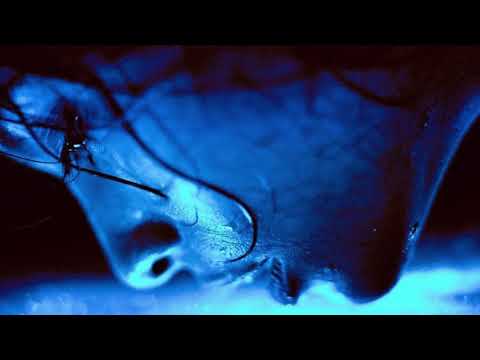 Sace x Loneliness - Hate [Wave]