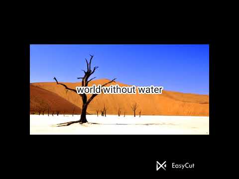 this is true#world#air#water#sun