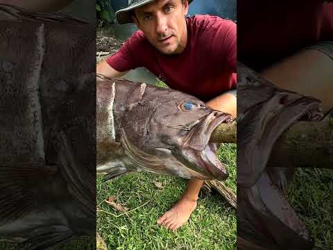 Catch Fish At lake For Survival. Primitive FIRE STARTING TECHNIQUES.