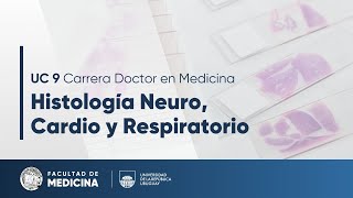 UC 9. Histología Neuro, Cardio y Respiratorio - Clase inaugural (4/8/25)