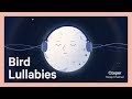 Bird Lullabies | Casper Sleep Channel