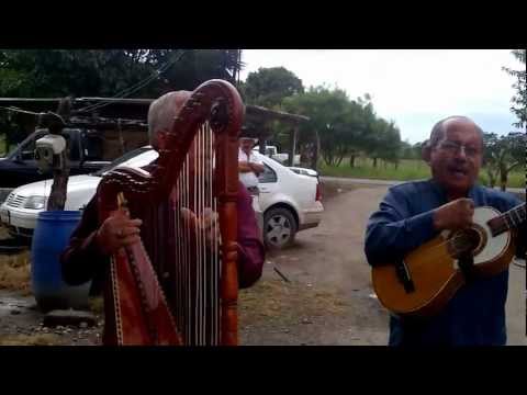 SON JAROCHO EL COLAS, SON VERACRUZANO, ARPA JAROCHA, REQUINTO JAROCHO, JARANA JAROCHA