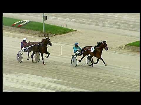 Napoli Trotto 22/04/2022 - prova di addestramento