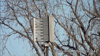 preview picture of video 'Erie Township, MI Whelen 3016 Siren Test 12-31-14'