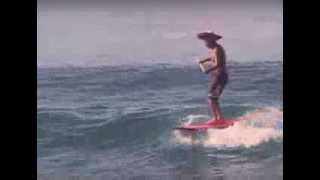 KERBSIDE COLLECTION - CAT WHIP