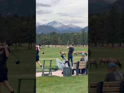 He was intentionally hitting golf balls at this elk - this was not the first. What would you do?