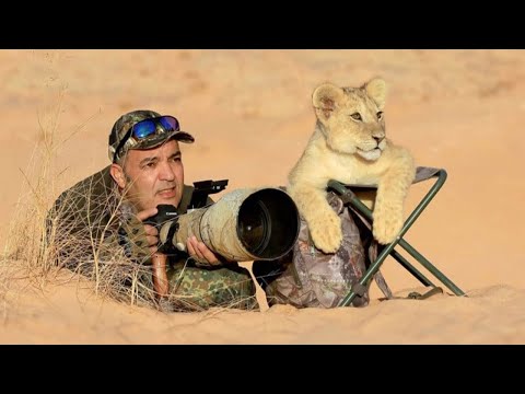 Quand les animaux surprennent les photographes de manière inattendue 🤪