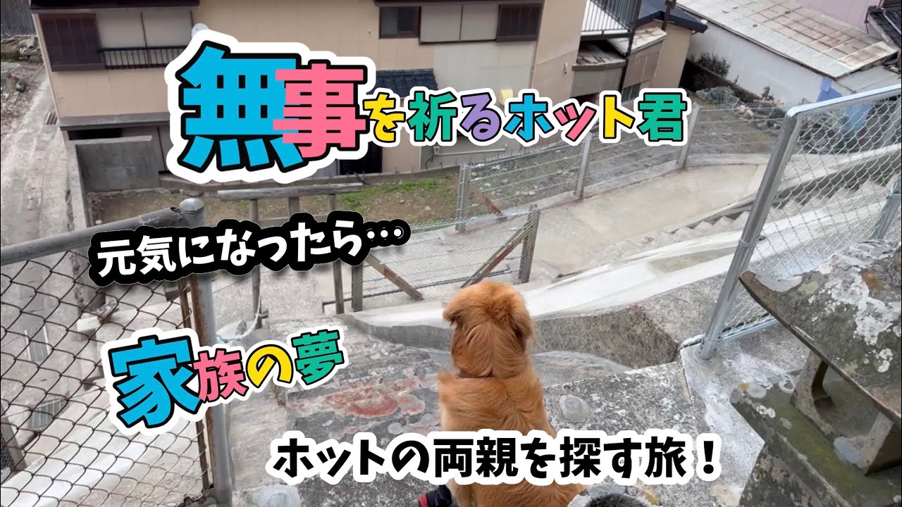 元気になったら…お母ちゃんと夢を叶える家族の約束‼︎