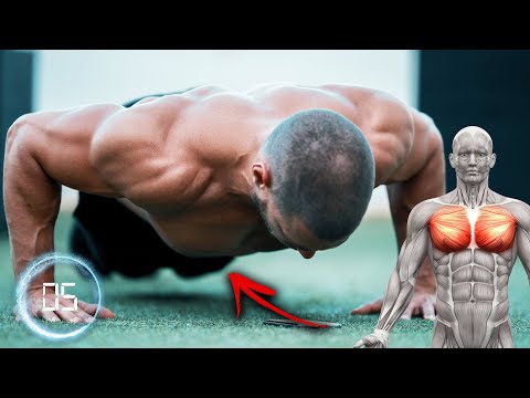 PECTORALES EN CASA - Rutina de Pecho Super Intensa (Haz 4 Rondas)