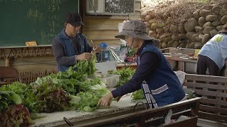 我們的島 第747集 千甲農場圓夢記 (2014-03-03)