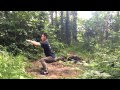 Wu Bu Quan 五步拳 (Five stances form) Part 1 Master Yan Xin