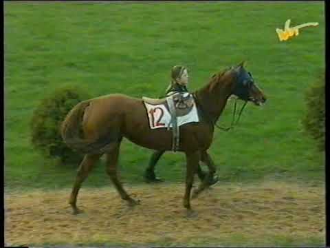 Nagroda Criterium-Tripolis