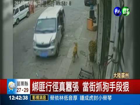 愛犬遭歹徒綁架 公安衝鋒槍攻堅