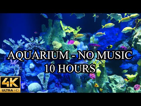AQUARIUM 4K Video Ultra HD Coral Reef NO Music NO Ads - 10 Hours | Fish Tank Sounds For Sleep