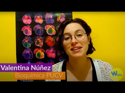 Mujeres W-STEM: Valentina Nuñez