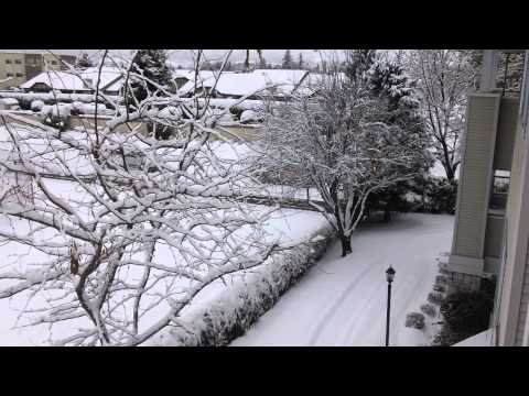 Currently a "Winter Wonderland" where I live. How about you?