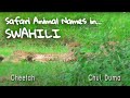 Animal Names In Swahili Family Safari In Kenya