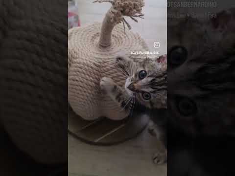 Conrad is feeling great and is such a little cutie!