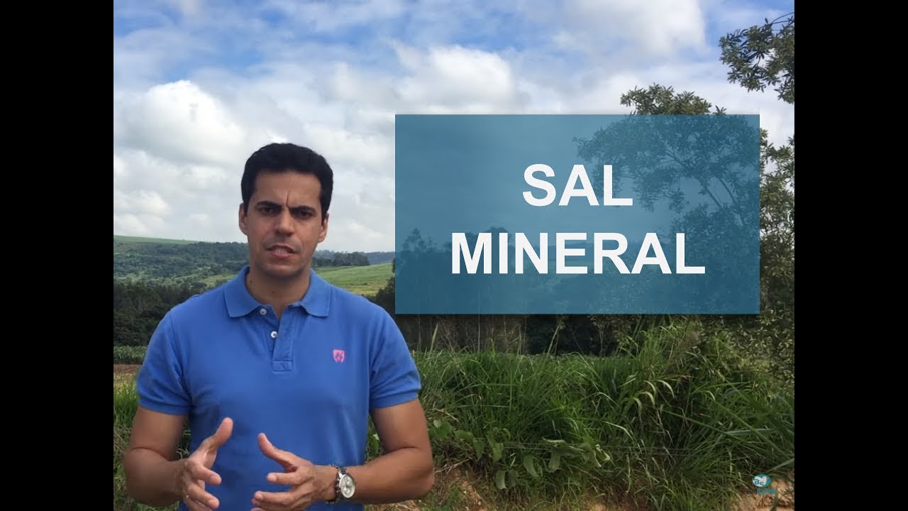 SAL MINERAL PARA BOVINOS