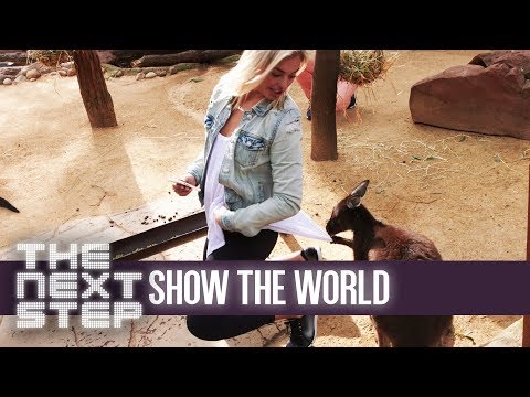 Victoria and the Kangaroo - The Next Step: Show the World #3