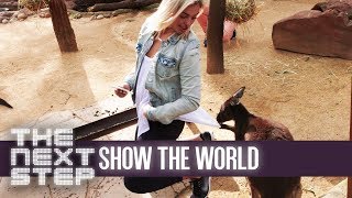 Victoria and the Kangaroo - The Next Step: Show the World #3