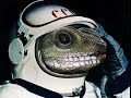 Gecko Sex Study Lost In Space 