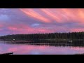 Mare Wakefield & Nomad • Still