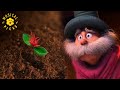 Let It Grow Full Final Song The Lorax