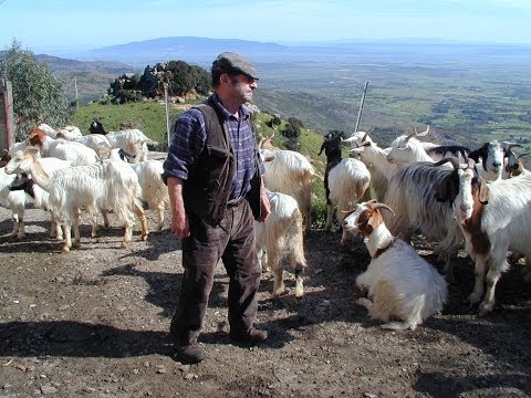 Pastori custodi del territorio