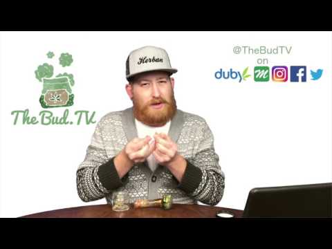 Jesus OG Strain Review from Shango