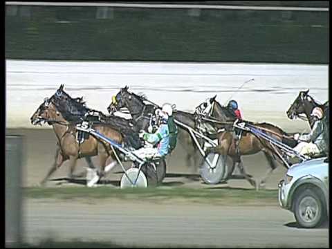 Trotto 20/12/2016 - 7ª corsa