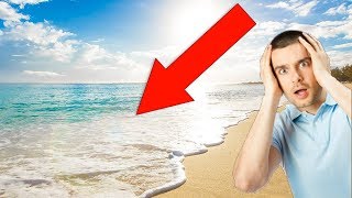 US Beaches INFESTED With Flesh Eating Creatures