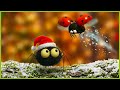 The Yule Log Minuscule 75 Christmas Compilation ️