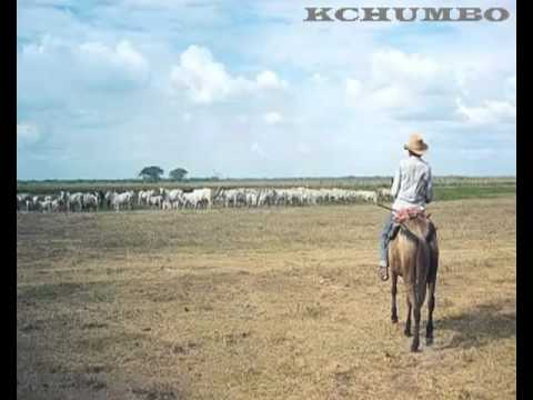 LLANERO SIENTE Y LAMENTA