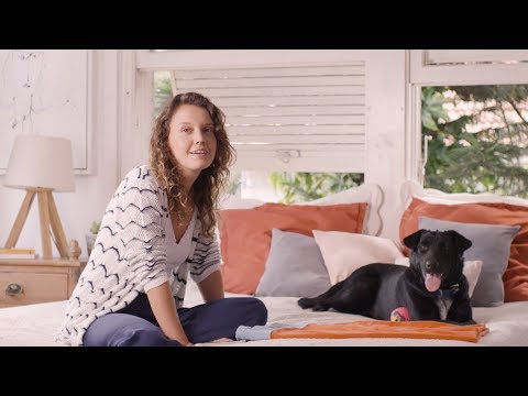 DogHero - Pet services